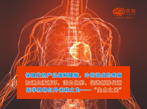 ��������߹���ϵ����Ʒ������ﶬ�����»���