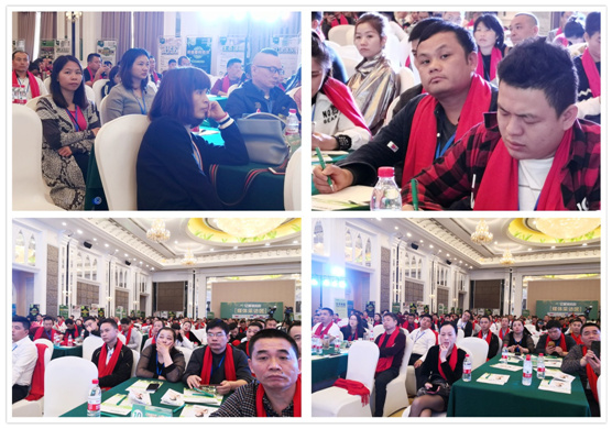 财富论坛 亿固瓷砖胶年度盛典耀佛山