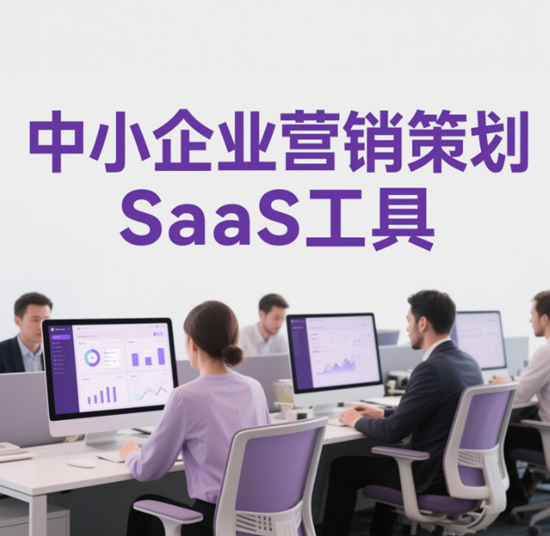 中小企业营销策划SaaS工具：HubSpot与Salesforce对比评测