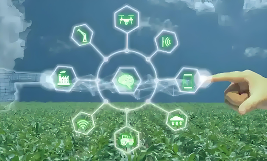 精准农业与化工：市场趋势与企业创新分析